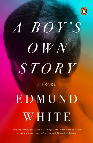 A Boy's Own Story: A Novel cover