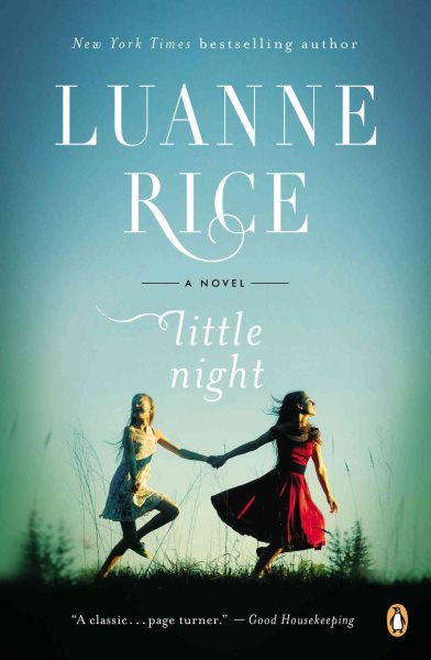 Little Night: A Novel cover