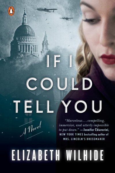 If I Could Tell You: A Novel cover