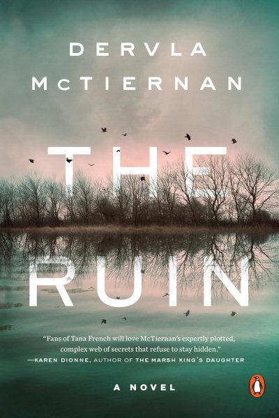 The Ruin: A Novel cover