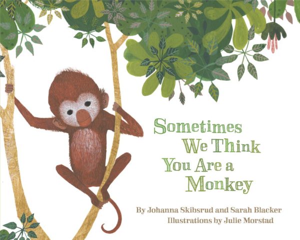 Sometimes We Think You Are a Monkey cover