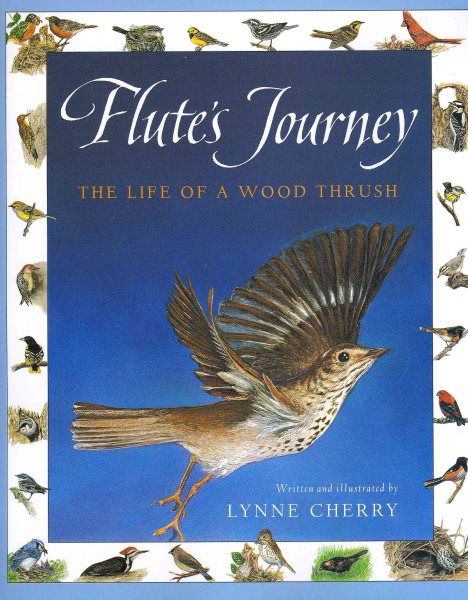 Harcourt School Publishers Collections: Chapter Book Grade 4 Flute's Journey cover
