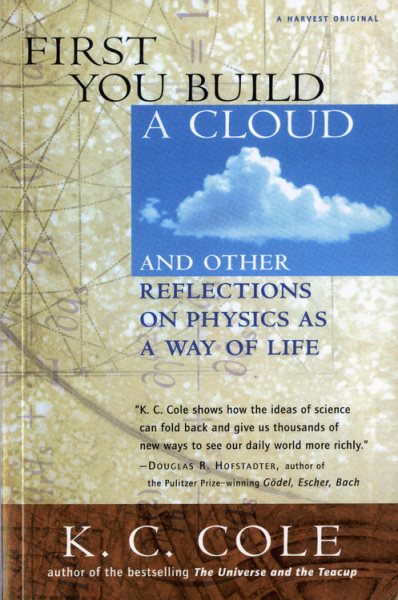 First You Build a Cloud: And Other Reflections on Physics as a Way of Life cover