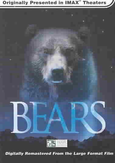 Bears (Large Format) cover