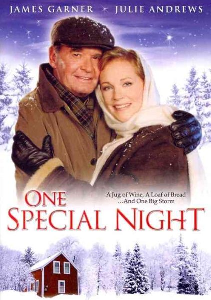 One Special Night cover
