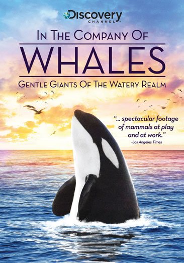 In the Company of Whales cover