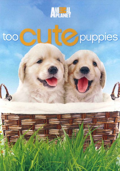 Too Cute Puppies cover