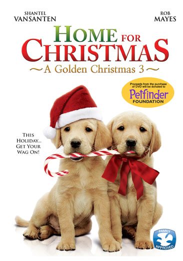 Home For Christmas: A Golden Christmas 3 cover