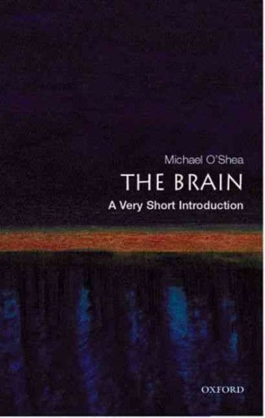 The Brain: A Very Short Introduction cover