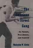The American Street Gang: Its Nature, Prevalence, and Control (Studies in Crime and Public Policy) cover