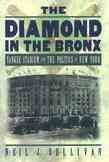 The Diamond in the Bronx: Yankee Stadium and the Politics of New York cover