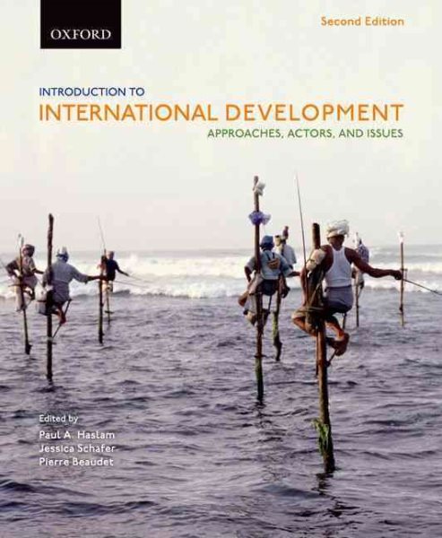 Introduction to International Development: Approaches, Actors, and Issues cover