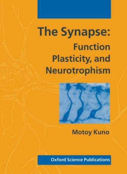 Synapse: Function, Plasticity, and Neurotrophism cover
