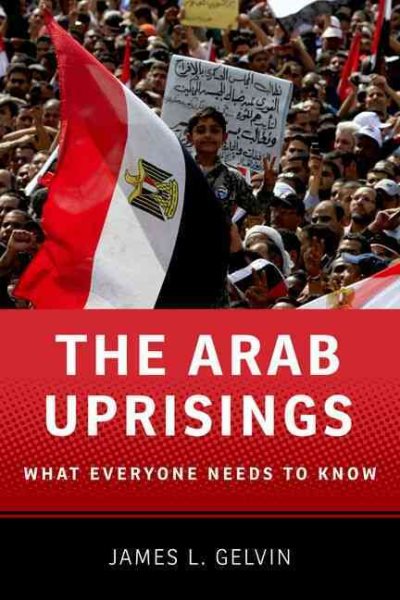 The Arab Uprisings: What Everyone Needs to Know® cover