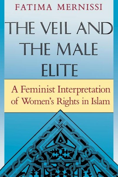 The Veil And The Male Elite cover