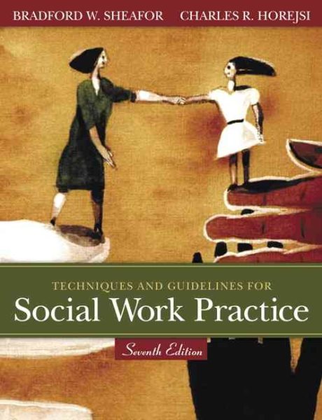 Techniques and Guidelines for Social Work Practice (7th Edition) cover