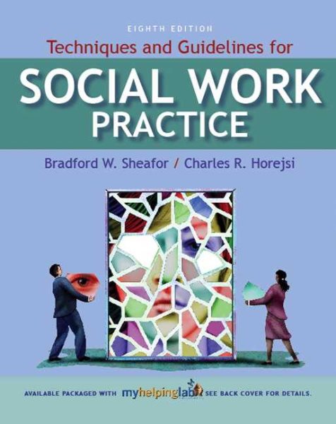 Techniques and Guidelines for Social Work Practice (8th Edition) cover