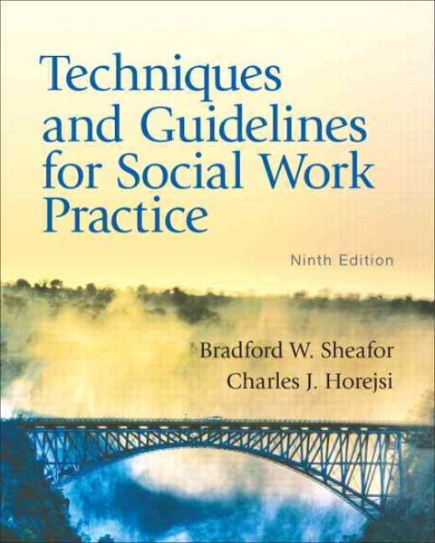 Techniques and Guidelines for Social Work Practice cover
