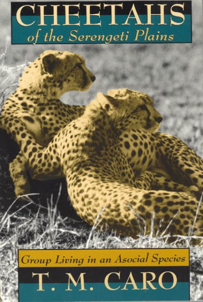 Cheetahs of the Serengeti Plains: Group Living in an Asocial Species (Wildlife Behavior and Ecology series) cover