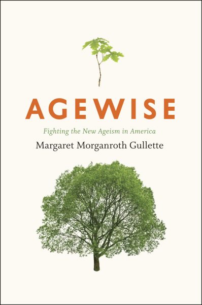Agewise: Fighting the New Ageism in America cover