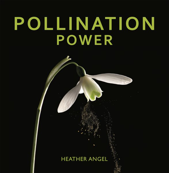 Pollination Power cover