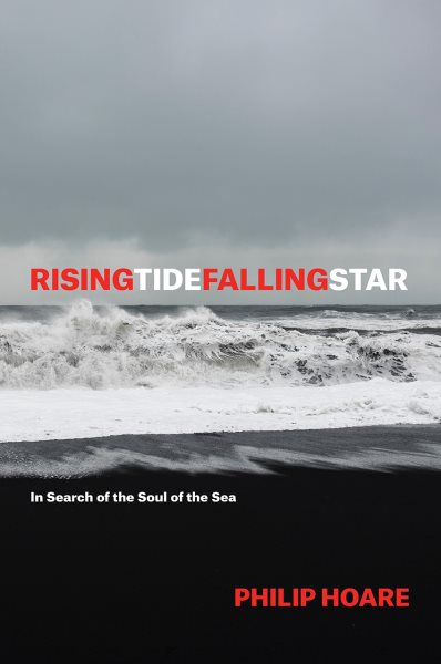 RISINGTIDEFALLINGSTAR: In Search of the Soul of the Sea cover