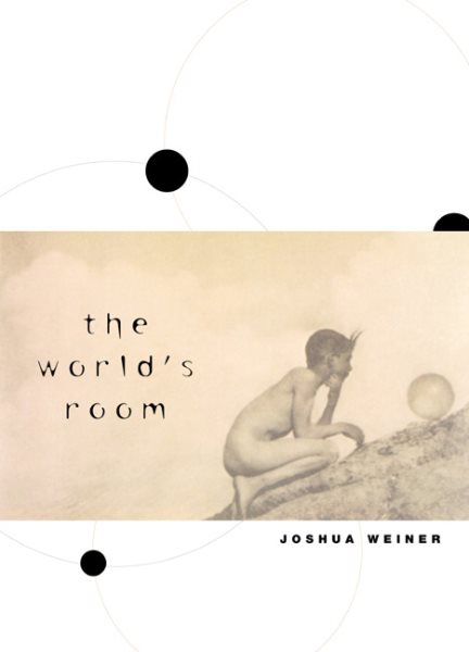 The World's Room (Phoenix Poets)