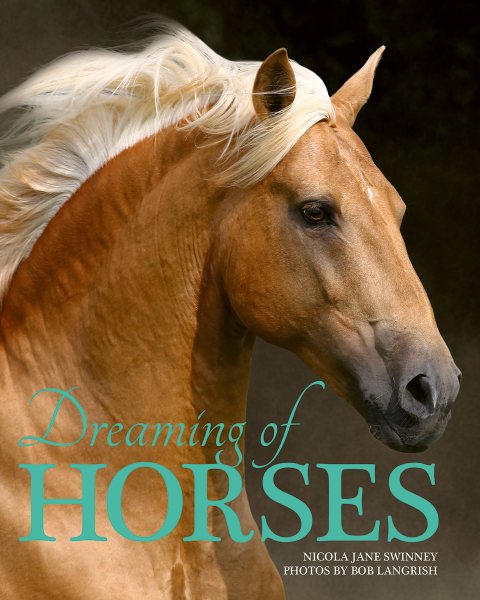 Dreaming of Horses cover