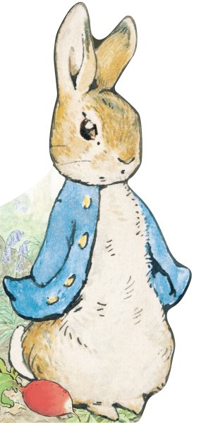 All About Peter (Peter Rabbit) cover