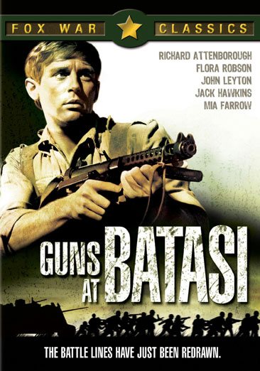 Guns at Batasi cover