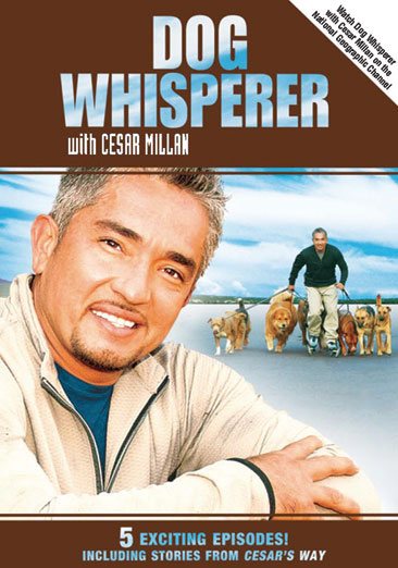Dog Whisperer with Cesar Millan - Stories from Cesar's Way cover