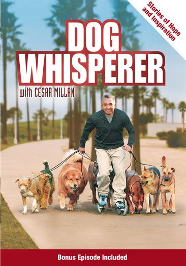 Dog Whisperer with Cesar Millan: Stories of Hope and Inspiration cover