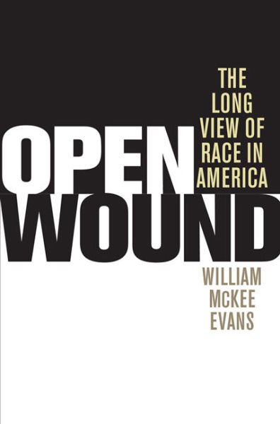 Open Wound: The Long View of Race in America cover