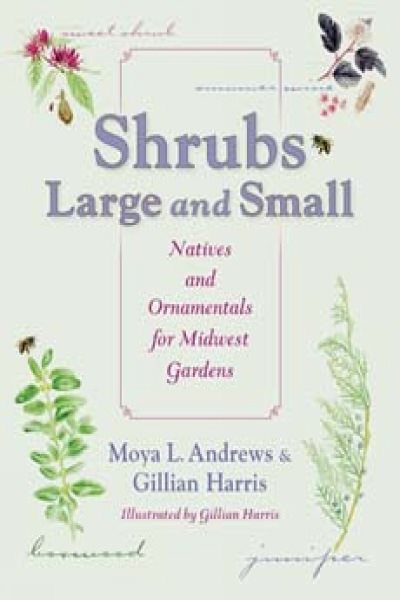 Shrubs Large and Small: Natives and Ornamentals for Midwest Gardens cover