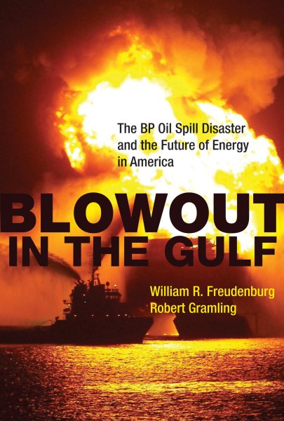 Blowout in the Gulf: The BP Oil Spill Disaster and the Future of Energy in America (The MIT Press) cover