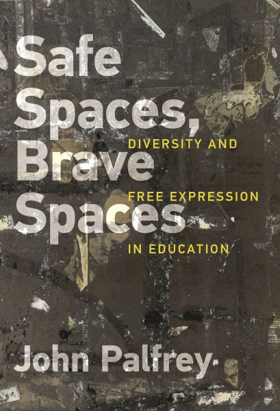 Safe Spaces, Brave Spaces: Diversity and Free Expression in Education (Mit Press) cover