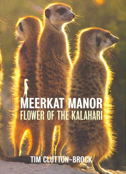 Meerkat Manor cover
