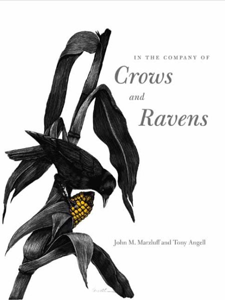 In the Company of Crows and Ravens cover