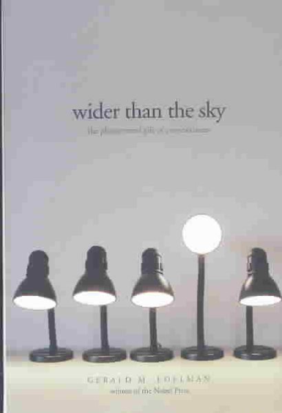 Wider than the Sky: The Phenomenal Gift of Consciousness cover