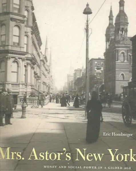 Mrs. Astors New York: Money and Social Power in a Gilded Age