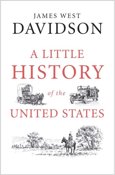 A Little History of the United States (Little Histories) cover