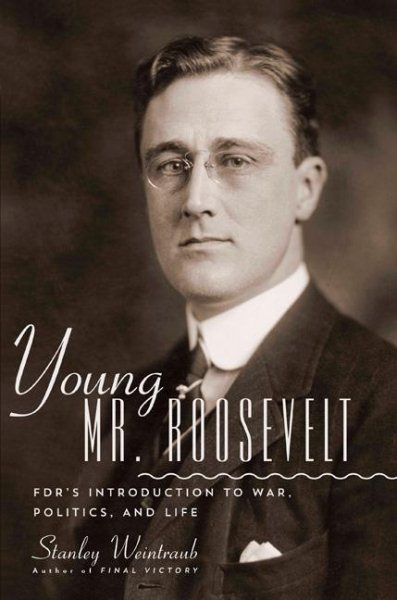 Young Mr. Roosevelt: FDR's Introduction to War, Politics, and Life cover