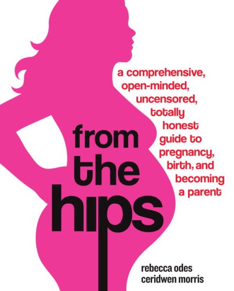 From the Hips: A Comprehensive, Open-Minded, Uncensored, Totally Honest Guide to Pregnancy, Birth, and Becoming a Parent cover
