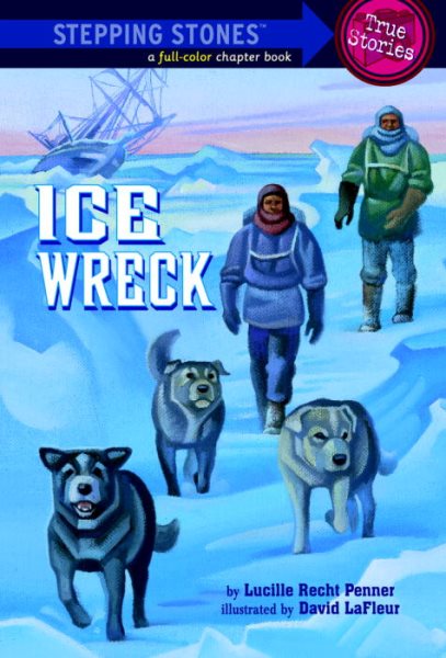 Ice Wreck (A Stepping Stone Book) cover