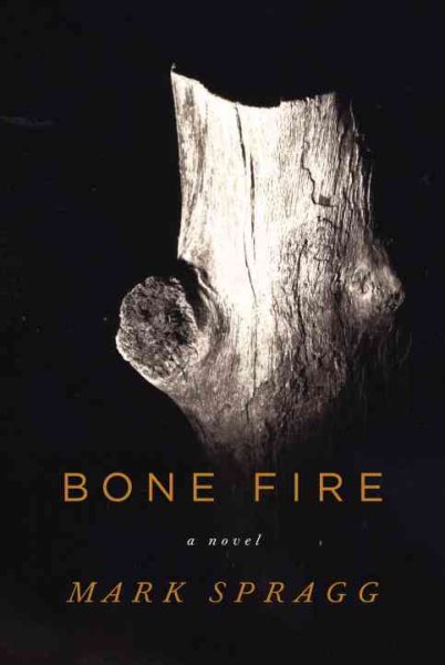 Bone Fire: A novel cover