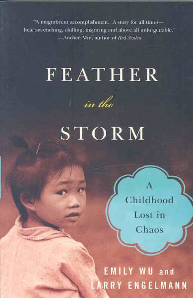 Feather in the Storm: A Childhood Lost in Chaos cover