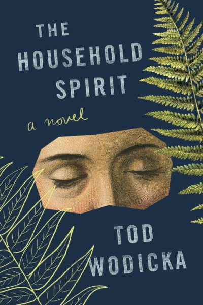 The Household Spirit: A Novel cover