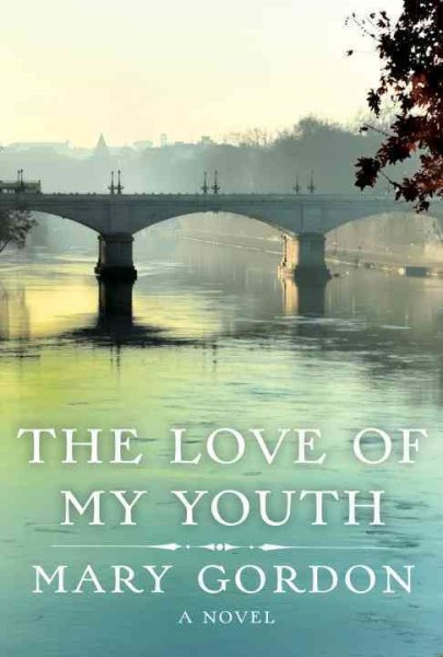 The Love of My Youth: A Novel cover