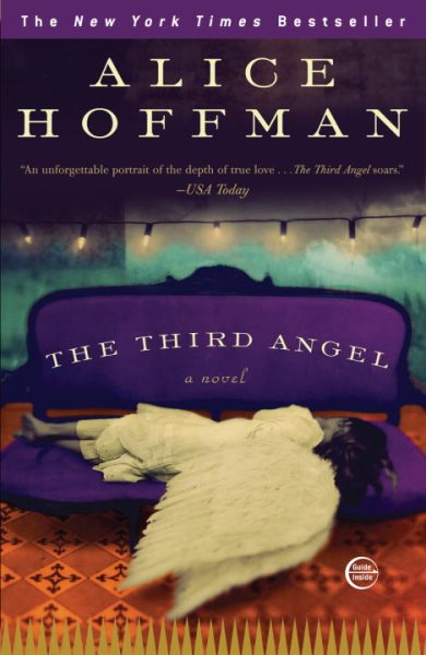 The Third Angel: A Novel cover