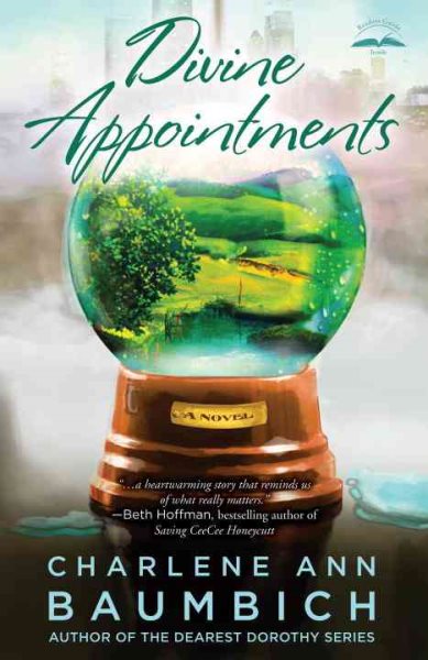 Divine Appointments: A Novel (A Snowglobe Connections Novel) cover